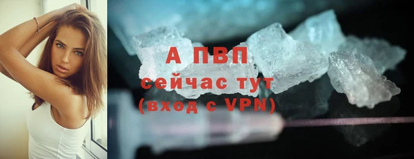 стаф Вяземский
